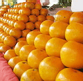 Som Si Tong - Golden Skinned Oranges in Naan