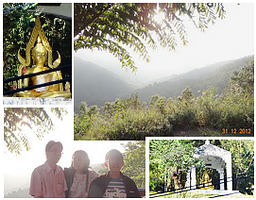 Ancient Forest, Doi Phuka